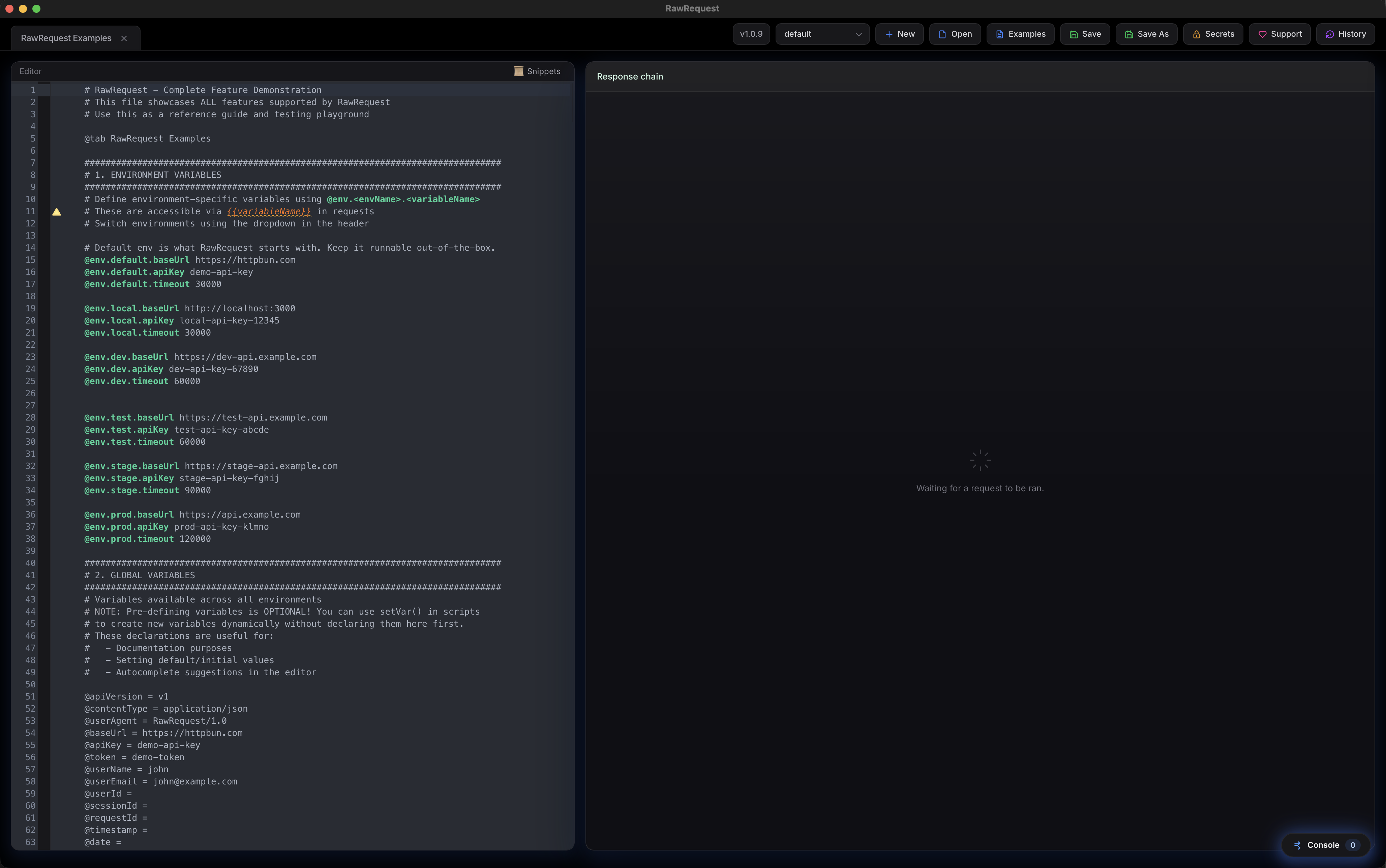 RawRequest main window